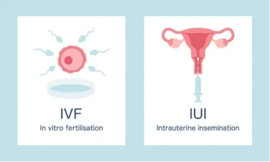 ivf/iui treatment in marine line