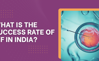What is the success rate of IVF in India?